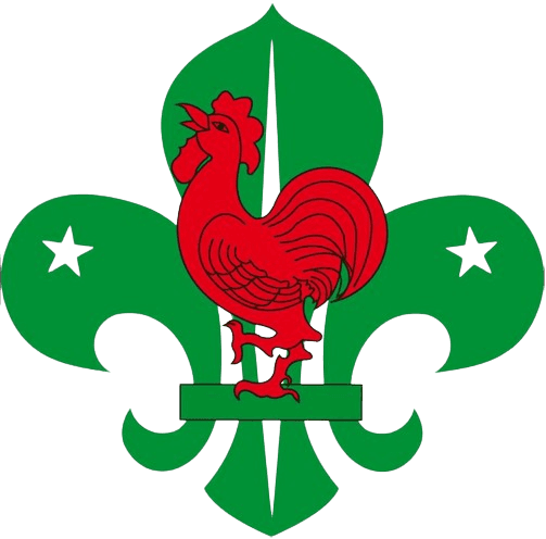 Galle District Scout Logo